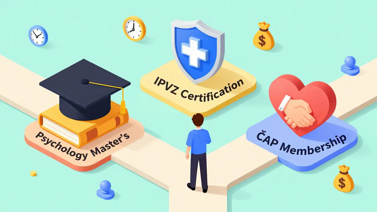 Jak se stát psychoterapeutem v ČR: Krok za krokem k kvalifikaci a praxi