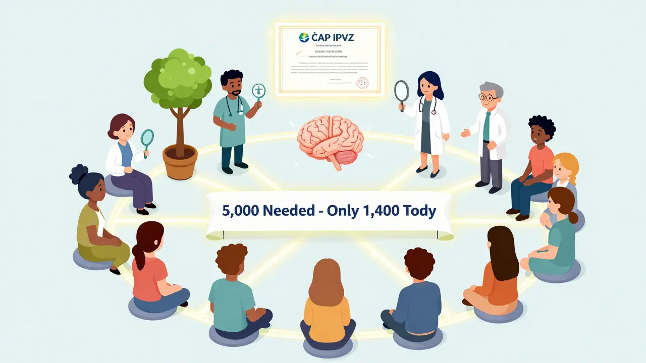 Skupina certifikovaných psychoterapeutů s různými metodami a certifikáty