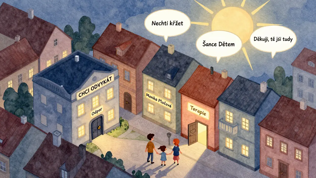 Isometrický pohled na česká centra pro léčbu závislostí s cestou od odporu k terapii.